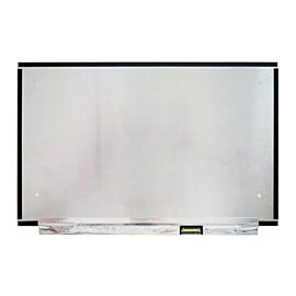 N133HCE-GN2 REV.B1 Laptop Screen Replacement
