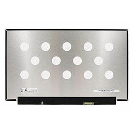 NV156FHM-N4J V3.0 Laptop Screen Replacement