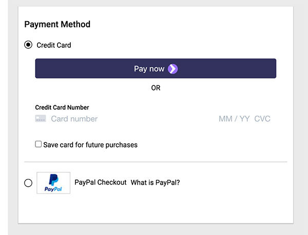 strip payment
